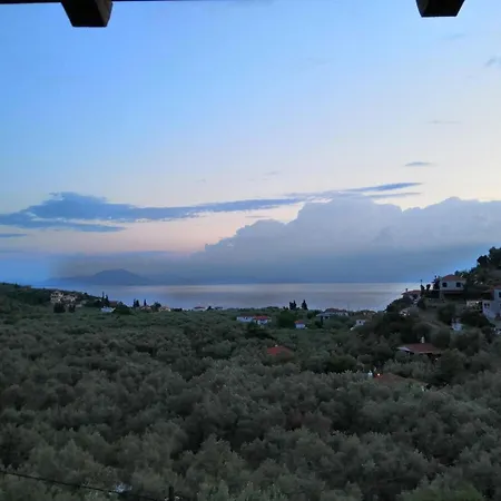 Luxury Mansion In Pelion Hills