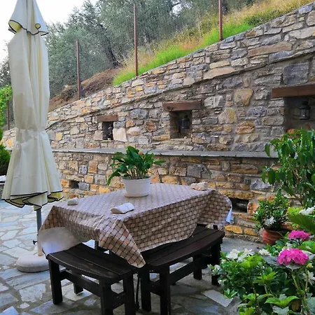 Luxury Mansion In Pelion Hills Villa *